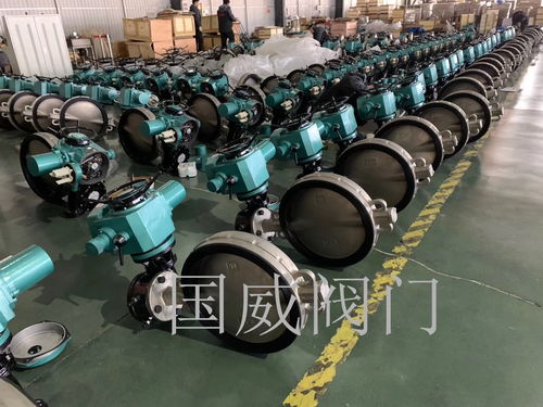 国威提醒,阀门公司应多注重品牌延伸发展问题
